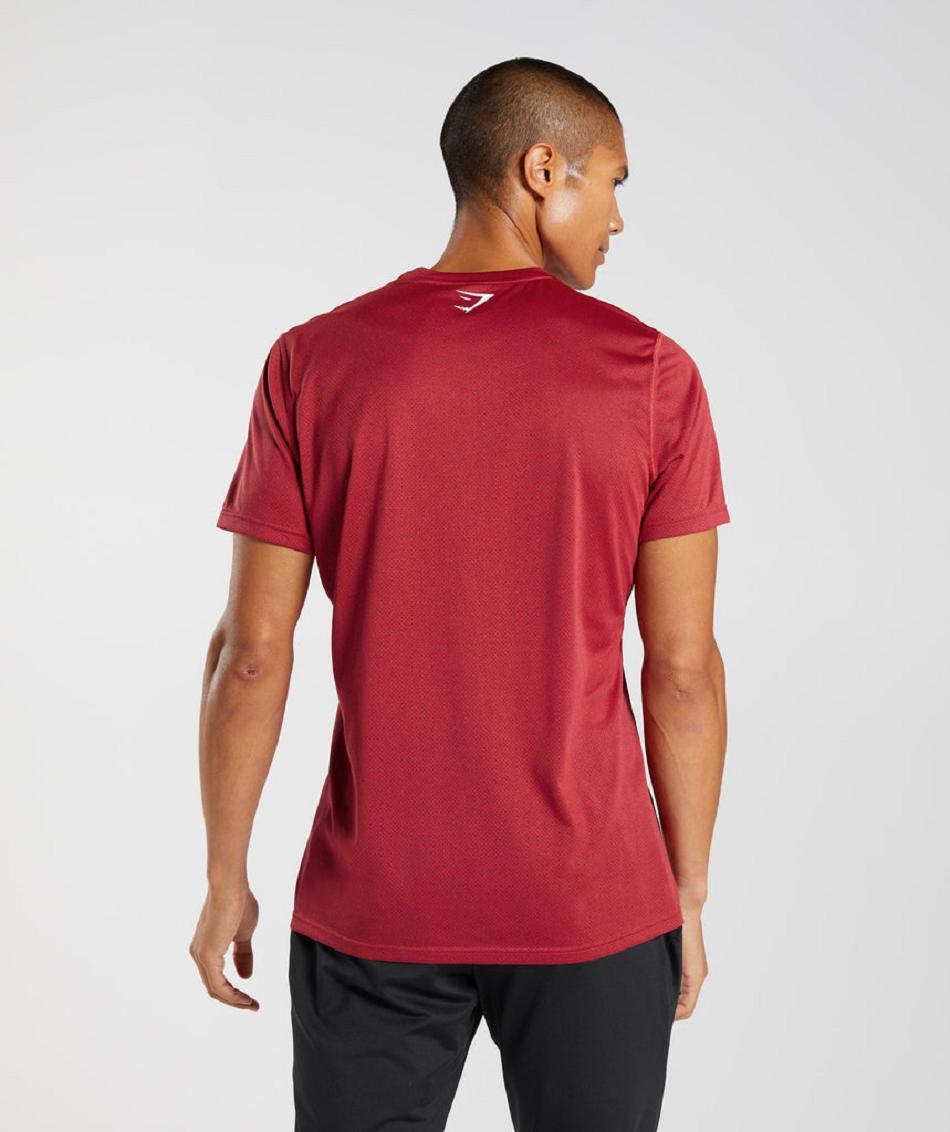 T Shirts Gymshark Deporte Hombre Rojas Negras | CO 3288LIS